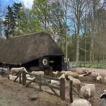 In Seenähe - Modernes Im De Veerstal - Familienfreundlich! Lathum