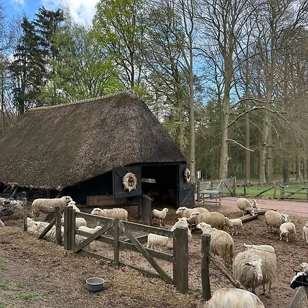 In Seenaehe - Modernes Im De Veerstal - Familienfreundlich! Lathum