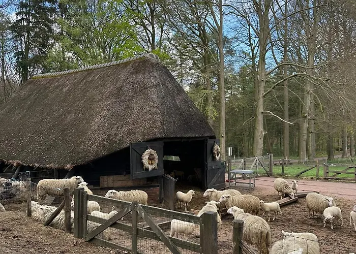 In Seenaehe - Modernes Im De Veerstal - Familienfreundlich! Lathum